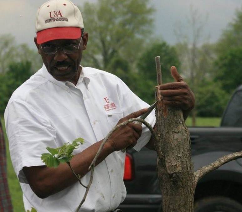 John Turner teaching how to graft a pecan tree